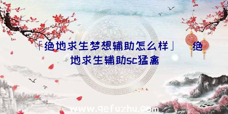 「绝地求生梦想辅助怎么样」|绝地求生辅助sc猛禽
